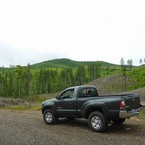 Tacoma