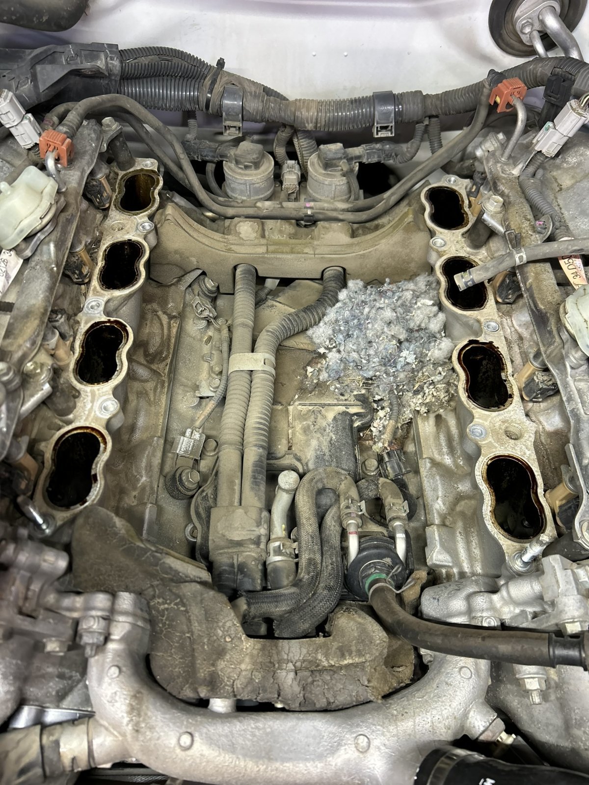 Heat exchanger rats nest heat exchanger rats nest jpg toyota tundra